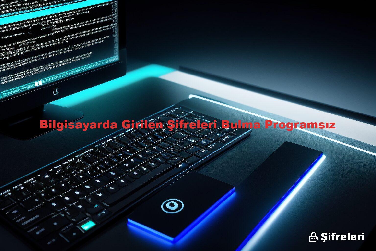 Bilgisayarda Girilen Şifreleri Bulma Programsız