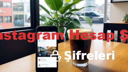 Fake Instagram Hesap Şifreleri