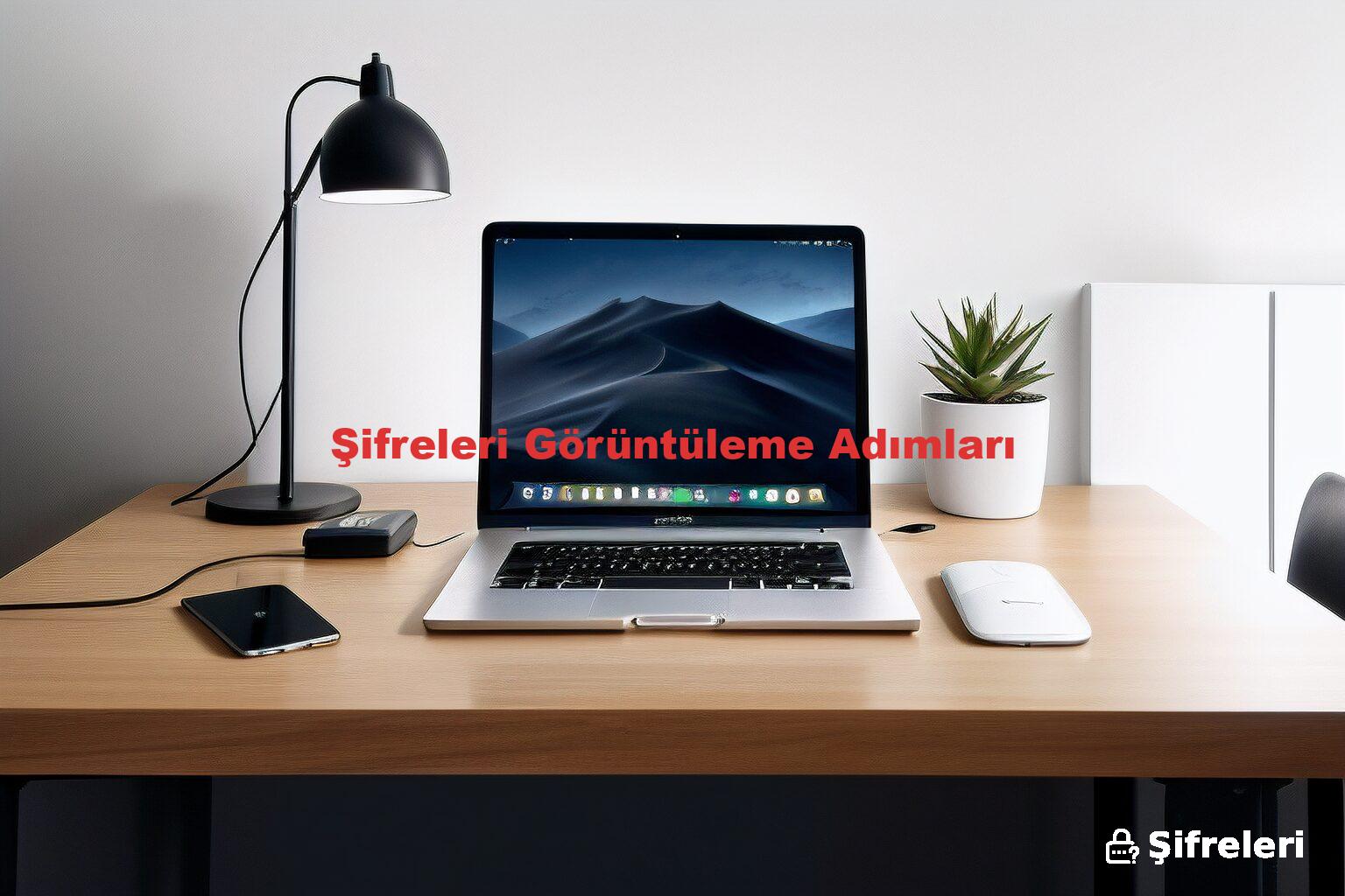 Şifreleri Görüntüleme Adımları