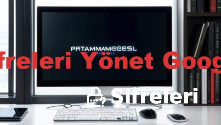 Şifreleri Yönet Google